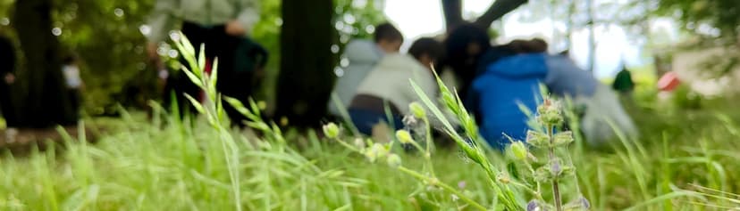 Martedì in natura: Forest Bathing